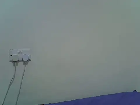 mars_mimi webcam