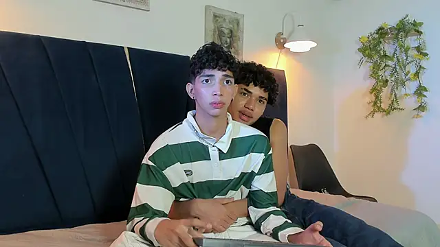 ZAN_181 webcam