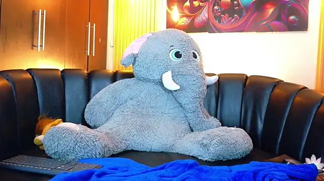 Evans_Robinson webcam