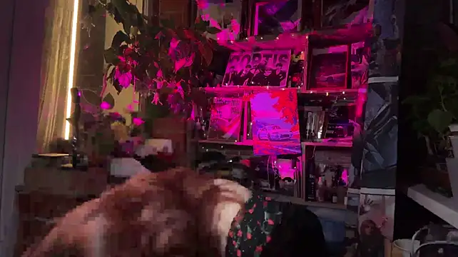 Leona_TX webcam