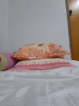 Ssk10N webcam