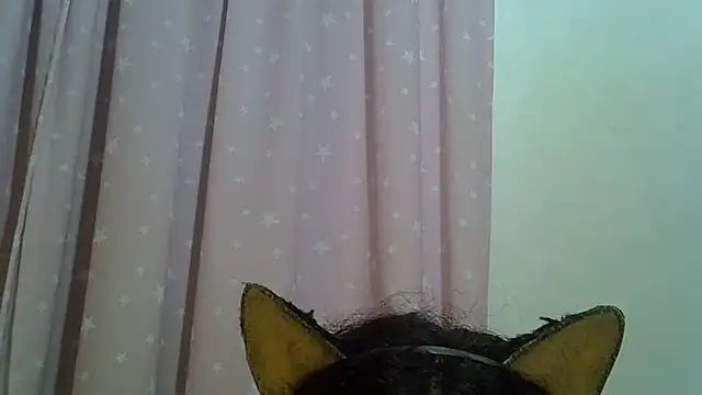 SkinnyKitten