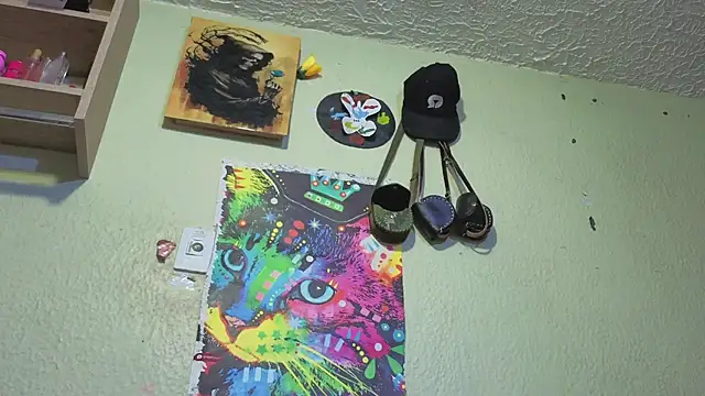 ANEVANS2 webcam