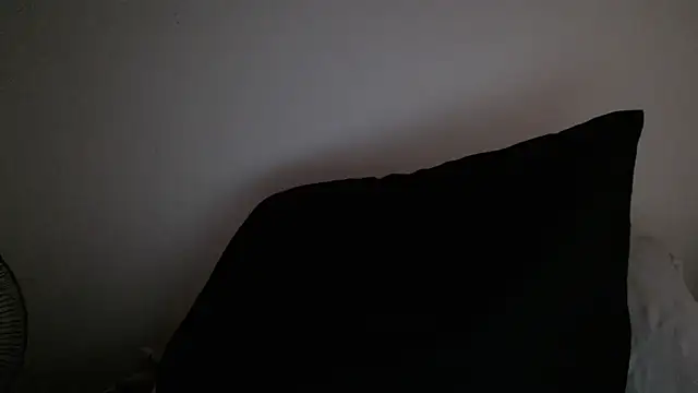 stevenosori webcam