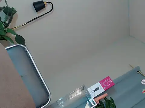 AlodiaOfCums
