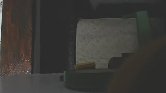 LoloQueen5 webcam