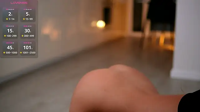 ElaraShine webcam