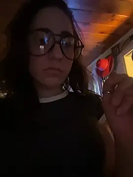 Ylaflk webcam