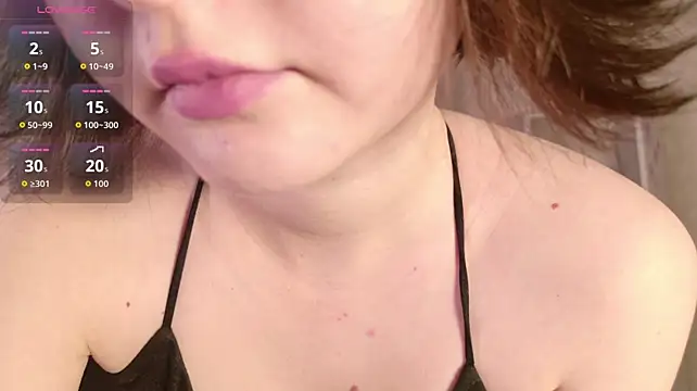 LeraKit webcam
