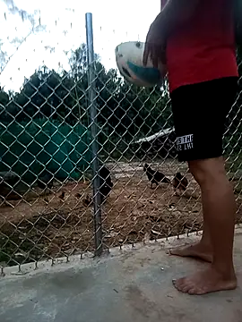 sako96
