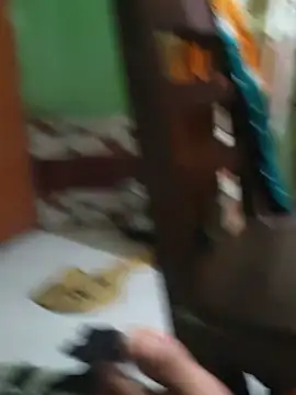 shunjidao live cam preview