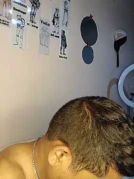 Stevin-gre6 webcam