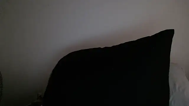 stevenosori webcam