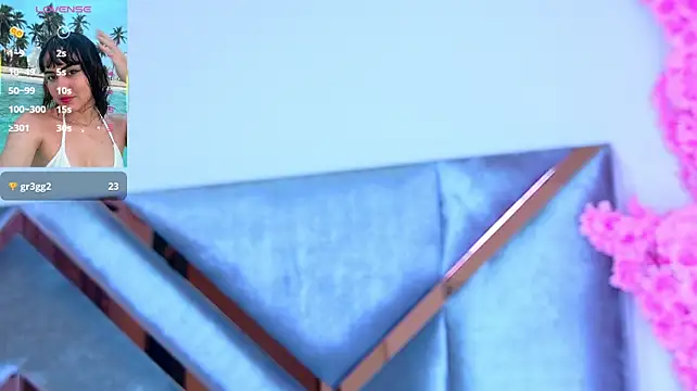 LizSheibaum webcam