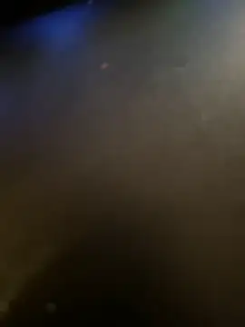 vanessafasanellivip webcam