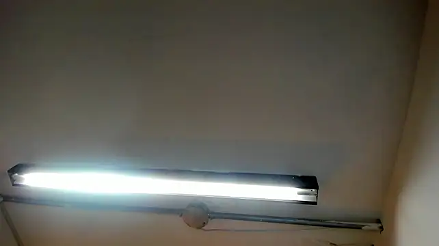 Chantal_fox__
