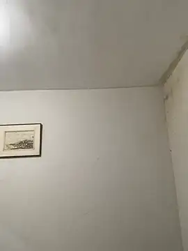 diassores live sex cam