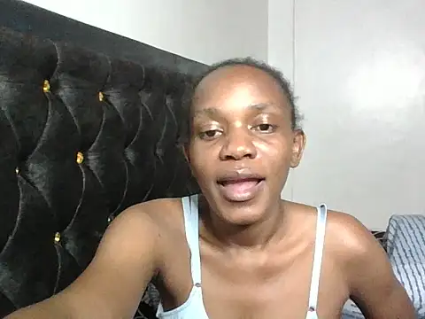 Pixieluck webcam