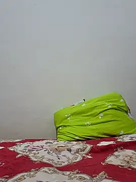 altinya webcam