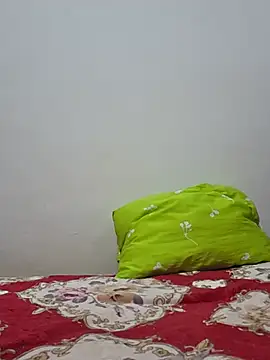 altinya webcam