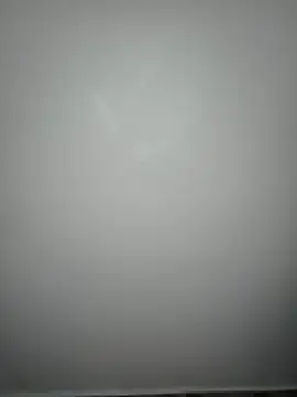 ebonnychick1 webcam