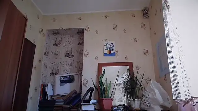 dream_alexa webcam