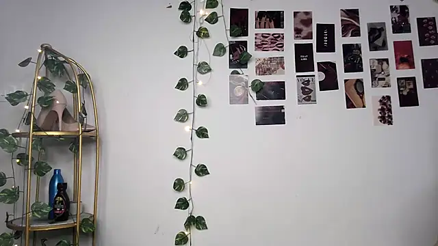 Dasydoll webcam