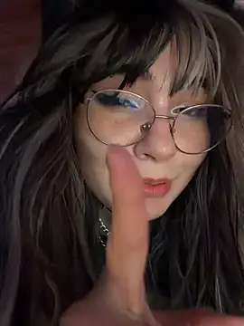 Poisonissa webcam