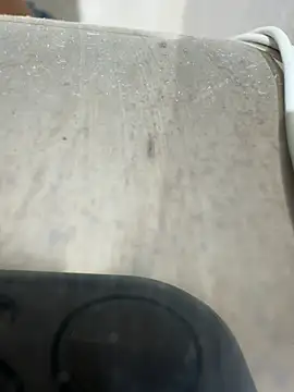 CheapFan55 webcam
