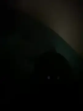 HardD1CK67 webcam