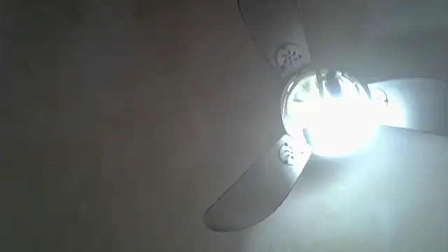 SkinnyKitten webcam