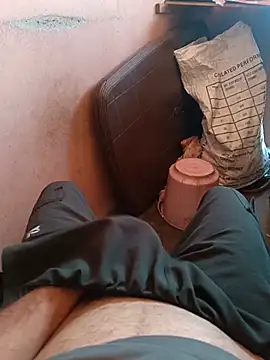 Himachali_bull_27 webcam