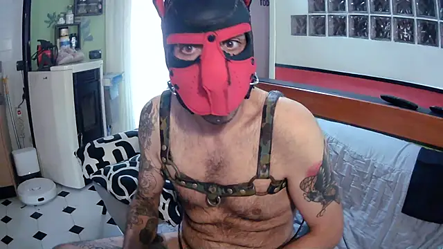 danix_wild_wolf webcam