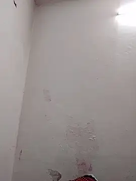 ZynoRoom