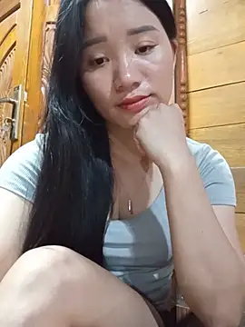 Td3di webcam