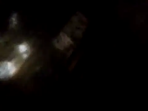 NoaReeed
