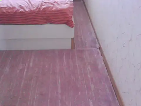 svvs27 webcam
