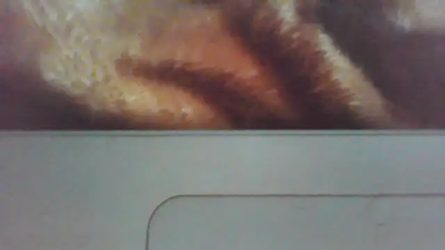 cobrosdepagos webcam