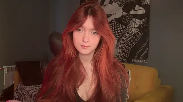 BellaSink webcam