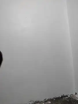 diem122 webcam