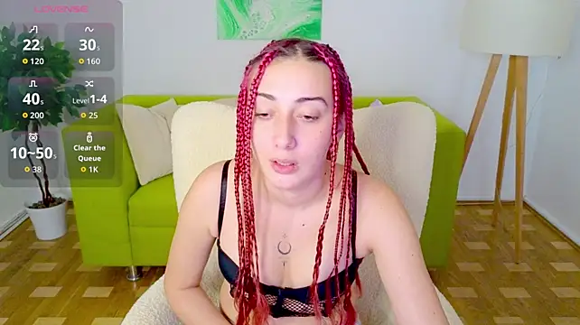 Renesmie webcam