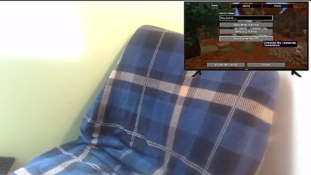 the1invisibleboy webcam