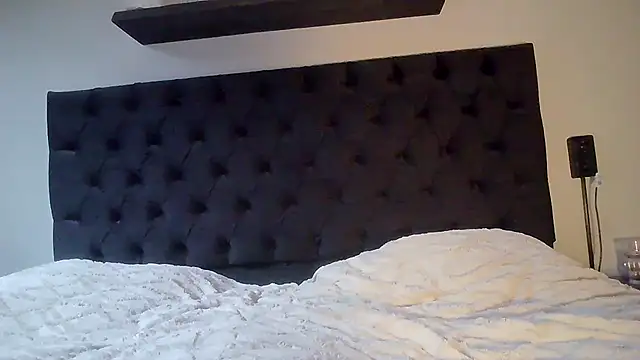 avajade webcam