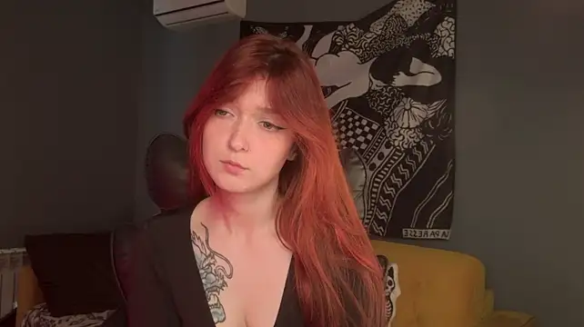 BellaSink webcam