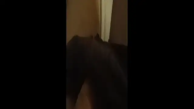 Puuuygv