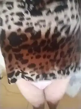 catdool