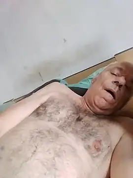 AIDIl63 webcam