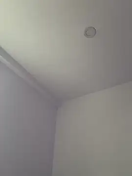 littlelatina