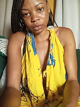 vio225 webcam