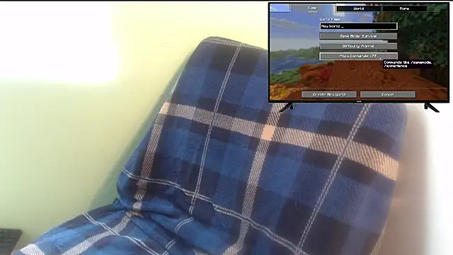 the1invisibleboy
